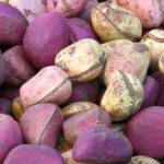 Benefits of Wonderful Kola: A Comprehensive Guide