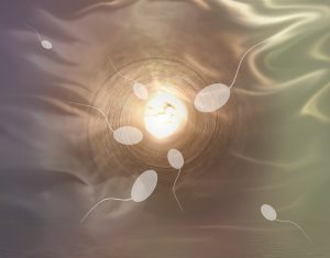 Does Releasing Sperm Make You Lose Weight