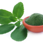 Miracle Leaf Benefits