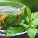 Benefits of Scent Leaf Water: A Natural Remedy for Optimal Health