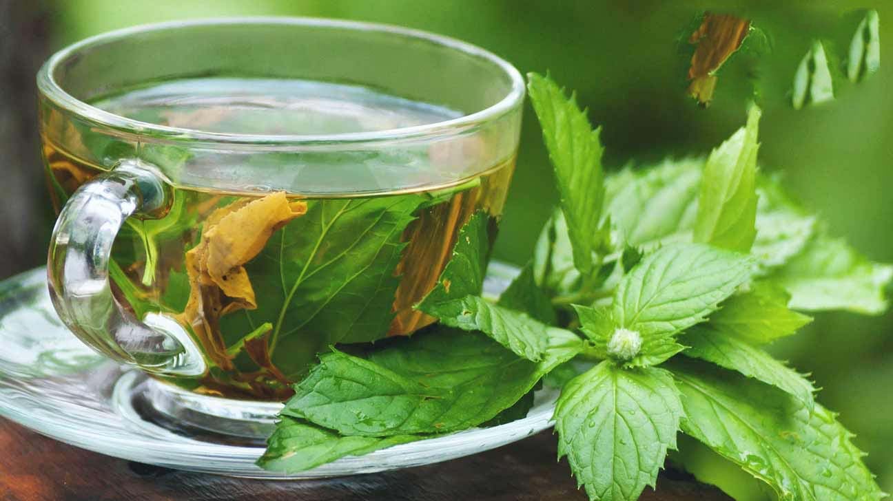 Benefits of Scent Leaf Water: A Natural Remedy for Optimal Health